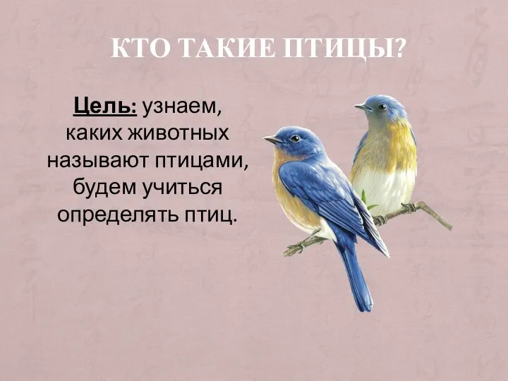 КТО ТАКИЕ ПТИЦЫ? Цель: узнаем, каких животных называют птицами, будем учиться определять птиц.