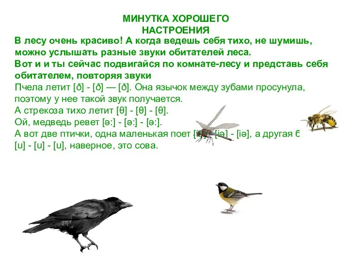 В лесу очень красиво! А когда ведешь себя тихо, не шумишь,