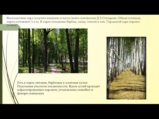 Впоследствии парк получил название в честь своего основателя Д.Т.Стихарева. Общая площадь
