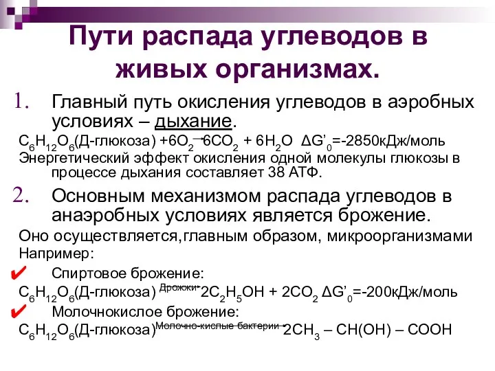 Пути распада углеводов в живых организмах. Главный путь окисления углеводов в