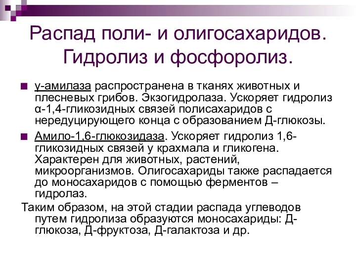 Распад поли- и олигосахаридов. Гидролиз и фосфоролиз. γ-амилаза распространена в тканях