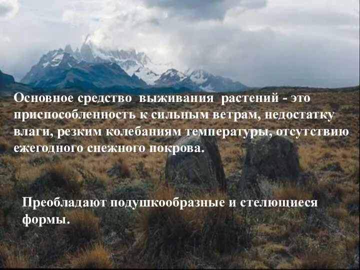 Основное средство выживания растений - это приспособленность к сильным ветрам, недостатку