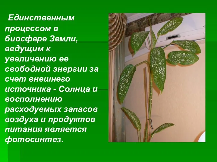 Единственным процессом в биосфере Земли, ведущим к увеличению ее свободной энергии