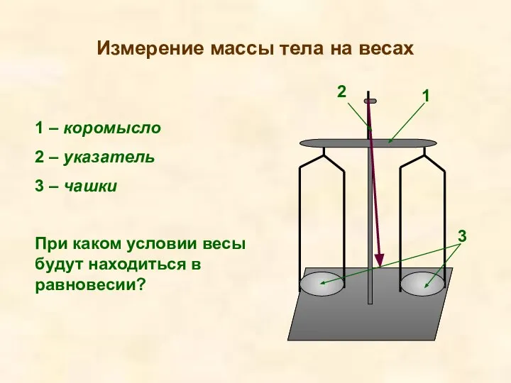 Измерение массы тела на весах 1 2 3 1 – коромысло