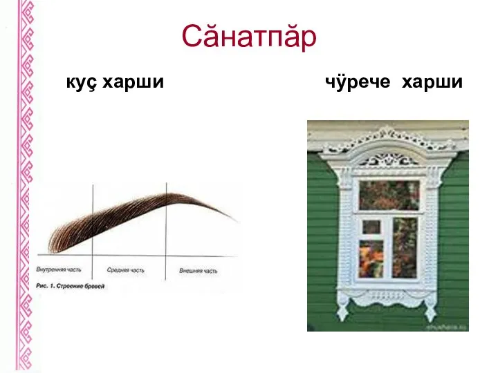 Сăнатпăр куç харши чÿрече харши