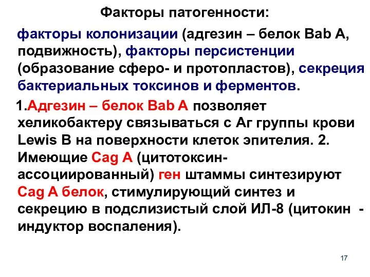 Факторы патогенности: факторы колонизации (адгезин – белок Bab A, подвижность), факторы