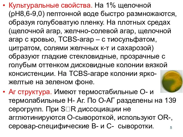 Культуральные свойства. На 1% щелочной (рН8,6-9,0) пептонной воде быстро размножаются, образуя