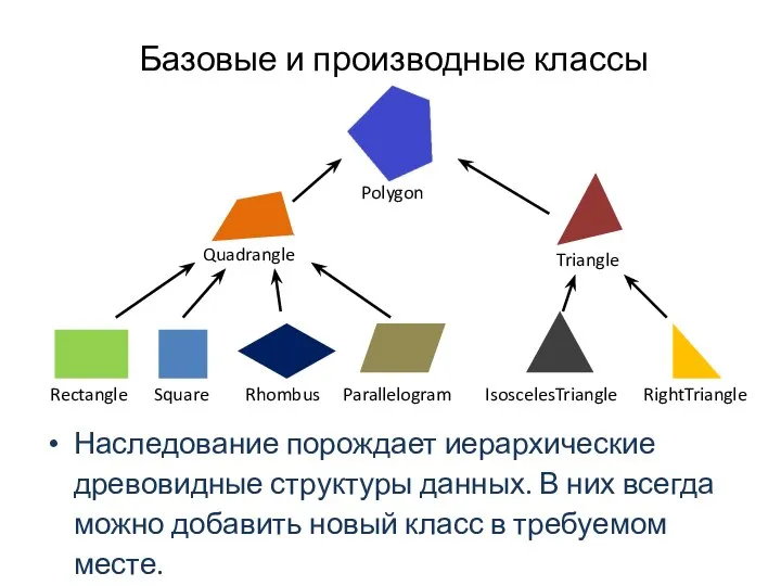 Базовые и производные классы Наследование порождает иерархические древовидные структуры данных. В