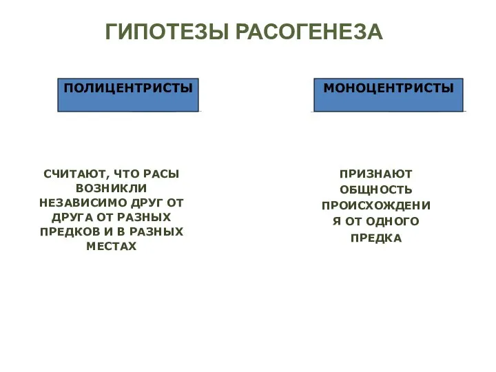 ГИПОТЕЗЫ РАСОГЕНЕЗА ПОЛИЦЕНТРИСТЫ МОНОЦЕНТРИСТЫ СЧИТАЮТ, ЧТО РАСЫ ВОЗНИКЛИ НЕЗАВИСИМО ДРУГ ОТ