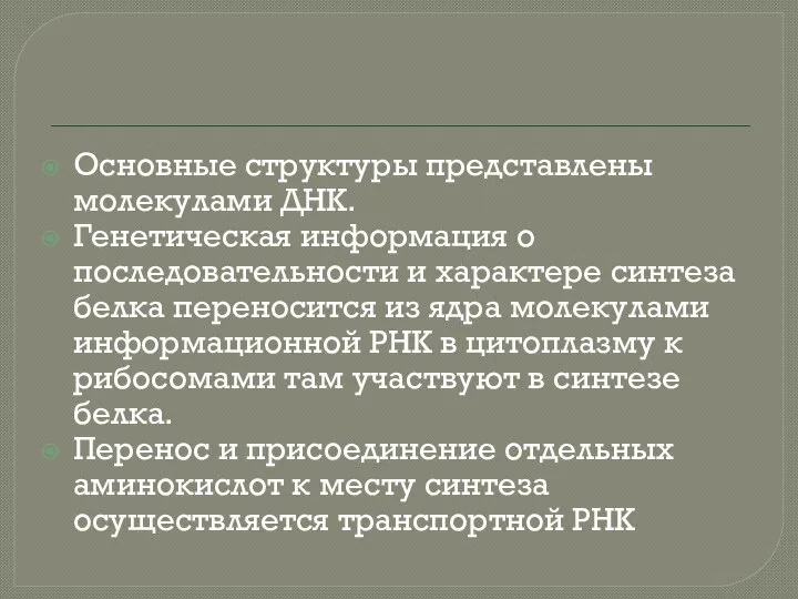 Основные структуры представлены молекулами ДНК. Генетическая информация о последовательности и характере