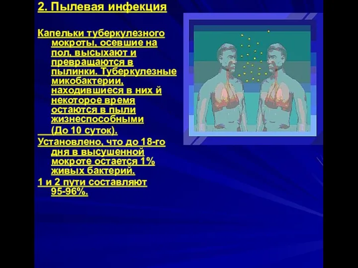 2. Пылевая инфекция Капельки туберкулезного мокроты, осевшие на пол, высыхают и