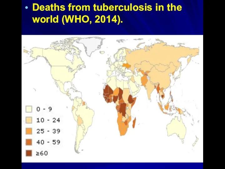 Deaths from tuberculosis in the world (WHO, 2014).