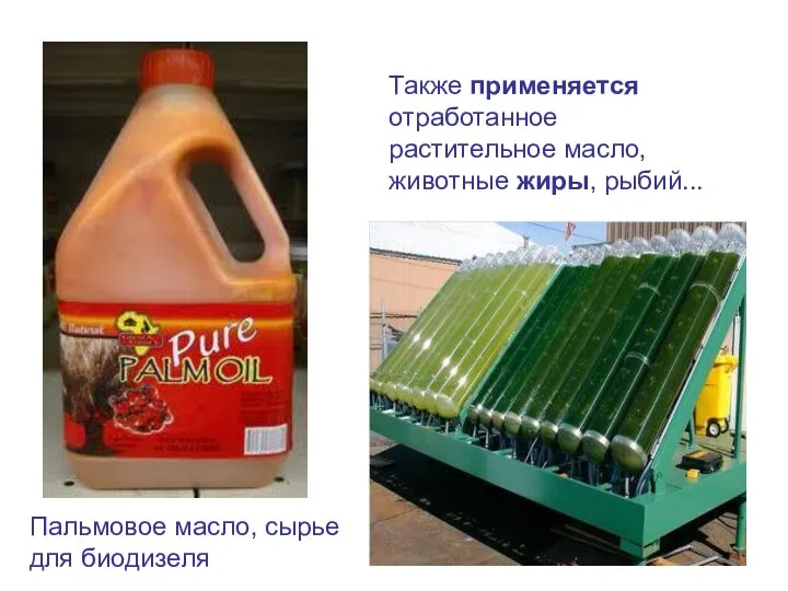 Пальмовое масло, сырье для биодизеля Также применяется отработанное растительное масло, животные жиры, рыбий...