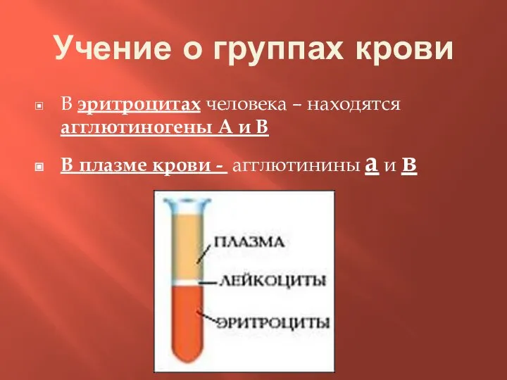 Учение о группах крови В эритроцитах человека – находятся агглютиногены А