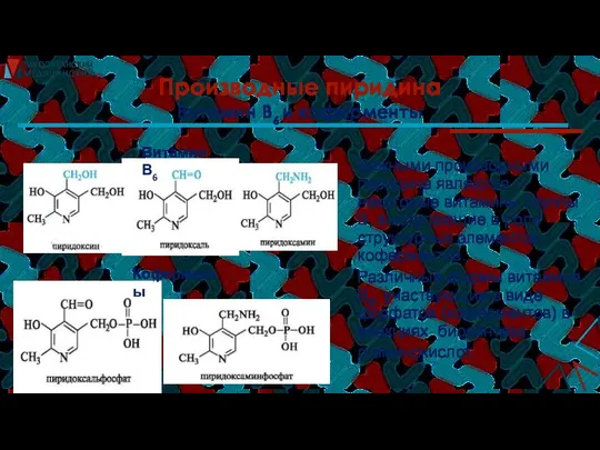 Производные пиридина Витамин В6 и коферменты Важными производными пиридина являются некоторые