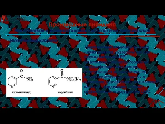 Производные пиридина Никотиновая и изоникотиновая кислоты и их производные Никотиновая кислота