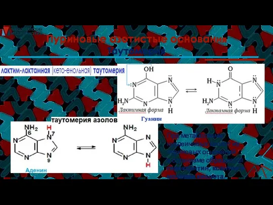 Пуриновые азотистые основания Таутомерия При метаболизме нуклеиновых кислот из пуриновых оснований