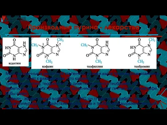 Производные пурина - лекарства Метилированные в различной степени по атомам азота