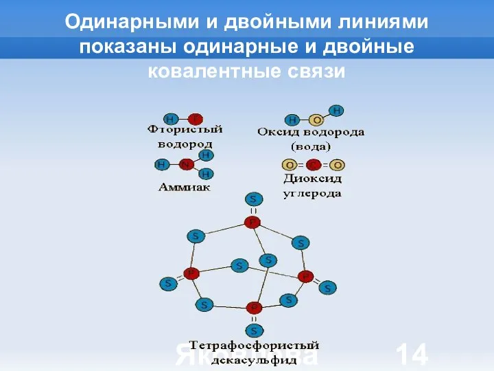 Яковлева Т.Ю. Одинарными и двойными линиями показаны одинарные и двойные ковалентные связи