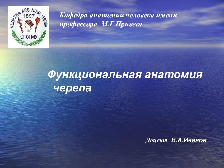 Кафедра анатомии человека имени профессора М.Г.Привеса Функциональная анатомия черепа Доцент В.А.Иванов