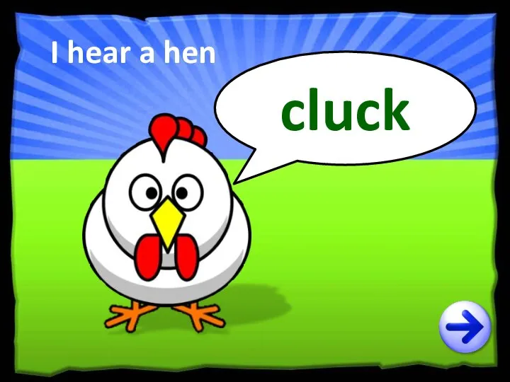 I hear a hen cluck