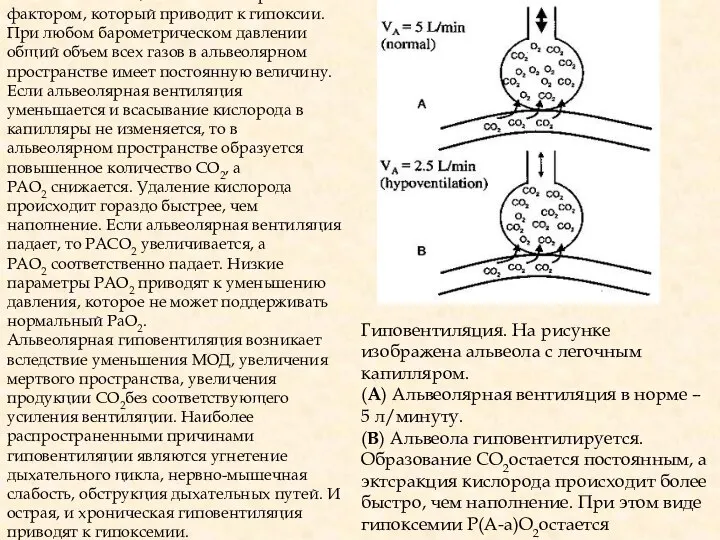 2. Гиповентиляция является вторым фактором, который приводит к гипоксии. При любом