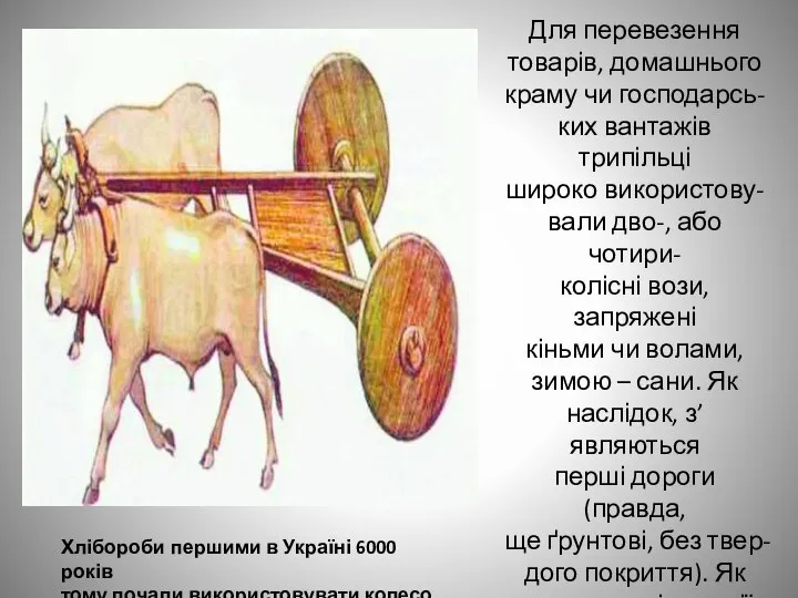 Хлібороби першими в Україні 6000 років тому почали використовувати колесо. Для
