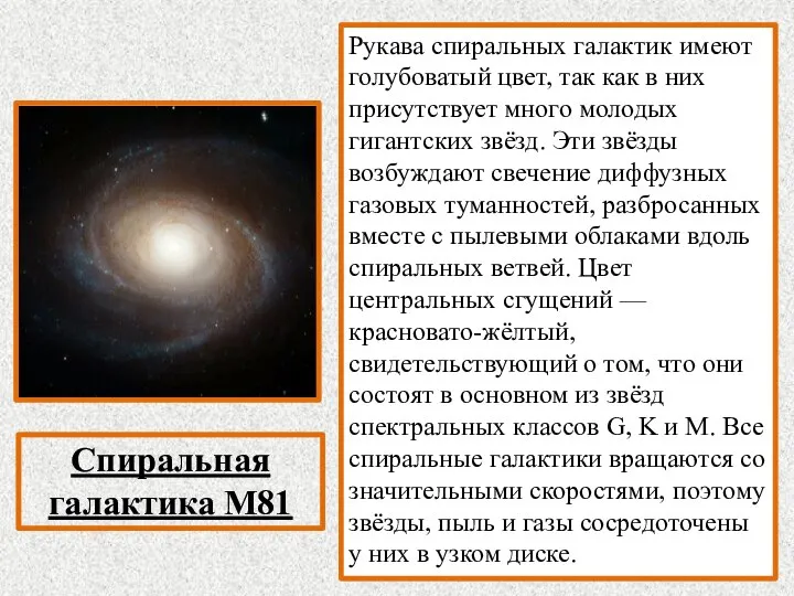 Спиральная галактика M81 Рукава спиральных галактик имеют голубоватый цвет, так как