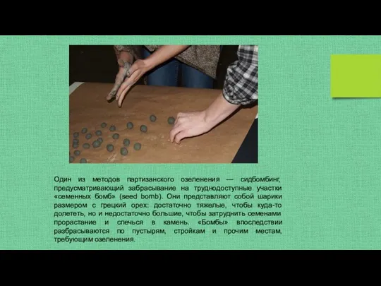 Один из методов партизанского озеленения — сидбомбинг, предусматривающий забрасывание на труднодоступные