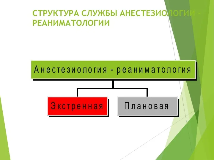 СТРУКТУРА СЛУЖБЫ АНЕСТЕЗИОЛОГИИ - РЕАНИМАТОЛОГИИ