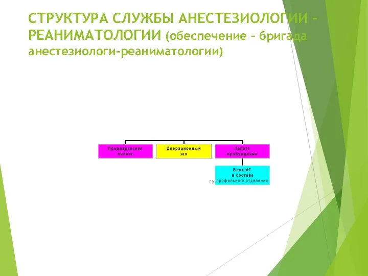 СТРУКТУРА СЛУЖБЫ АНЕСТЕЗИОЛОГИИ – РЕАНИМАТОЛОГИИ (обеспечение – бригада анестезиологи-реаниматологии)