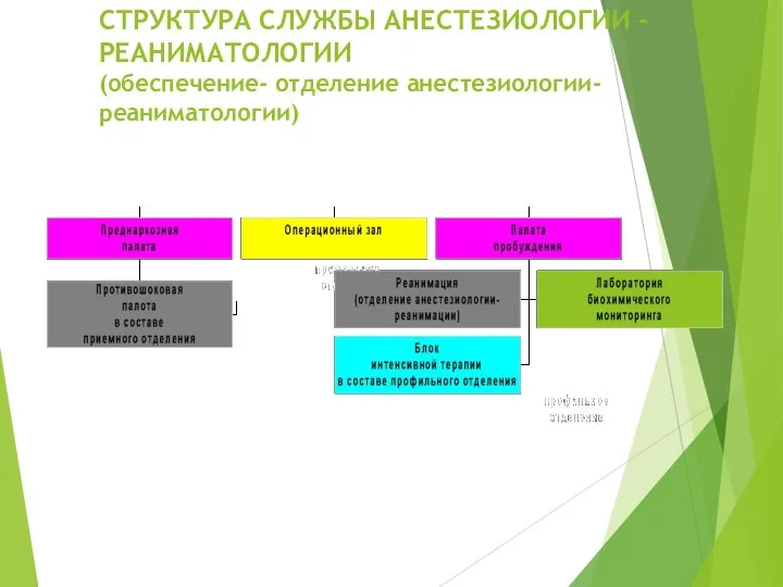 СТРУКТУРА СЛУЖБЫ АНЕСТЕЗИОЛОГИИ - РЕАНИМАТОЛОГИИ (обеспечение- отделение анестезиологии-реаниматологии)