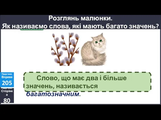 Розглянь малюнки. Як називаємо слова, які мають багато значень? Підручник. Сторінка