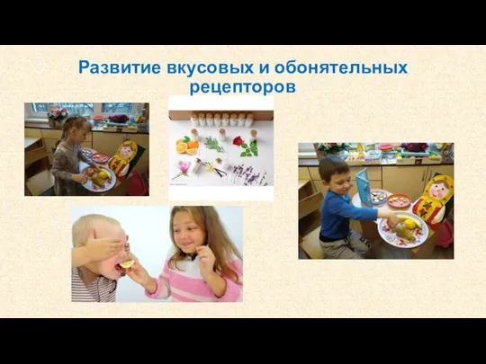 Развитие вкусовых и обонятельных рецепторов