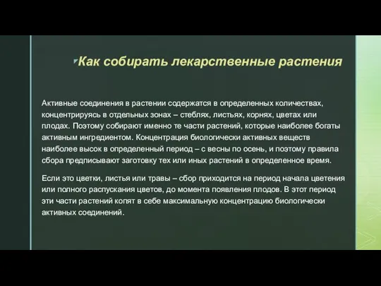 Как собирать лекарственные растения Активные соединения в растении содержатся в определенных