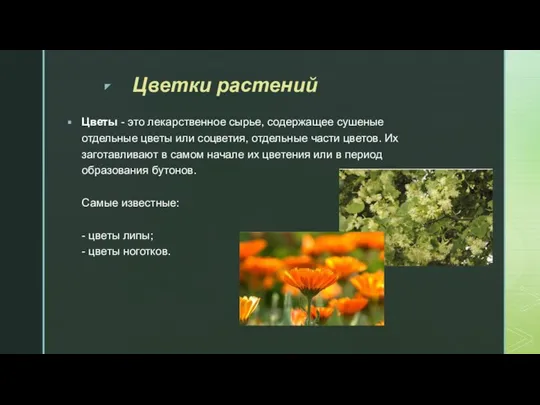 Цветки растений Цветы - это лекарственное сырье, содержащее сушеные отдельные цветы