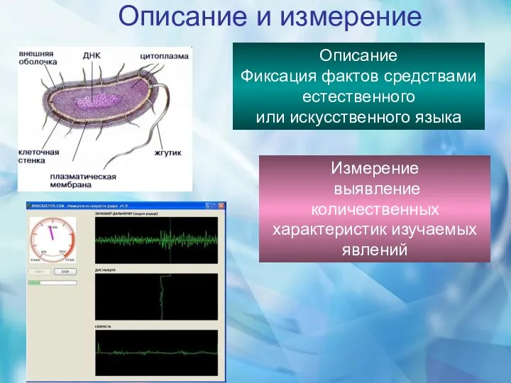 Описание и измерение Описание Фиксация фактов средствами естественного или искусственного языка