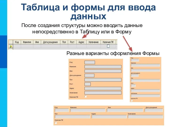 После создания структуры можно вводить данные непосредственно в Таблицу или в