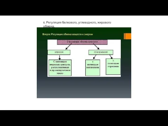 6. Регуляция белкового, углеводного, жирового обмена.