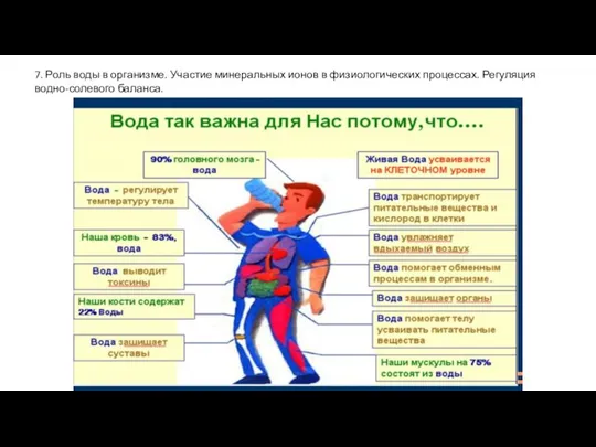 7. Роль воды в организме. Участие минеральных ионов в физиологических процессах. Регуляция водно-солевого баланса.