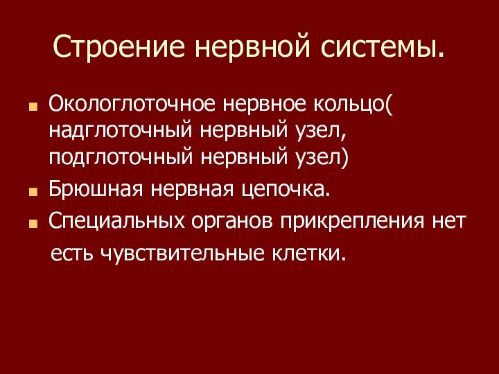 Строение нервной системы. Окологлоточное нервное кольцо( надглоточный нервный узел, подглоточный нервный