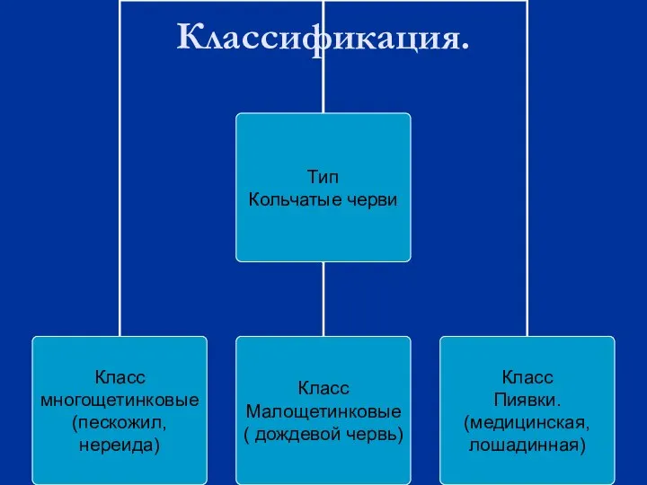 Классификация.