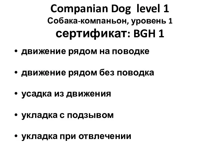 Companian Dog level 1 Собака-компаньон, уровень 1 сертификат: BGH 1 движение