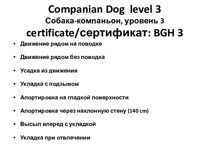 Companian Dog level 3 Собака-компаньон, уровень 3 certificate/сертификат: BGH 3 Движение