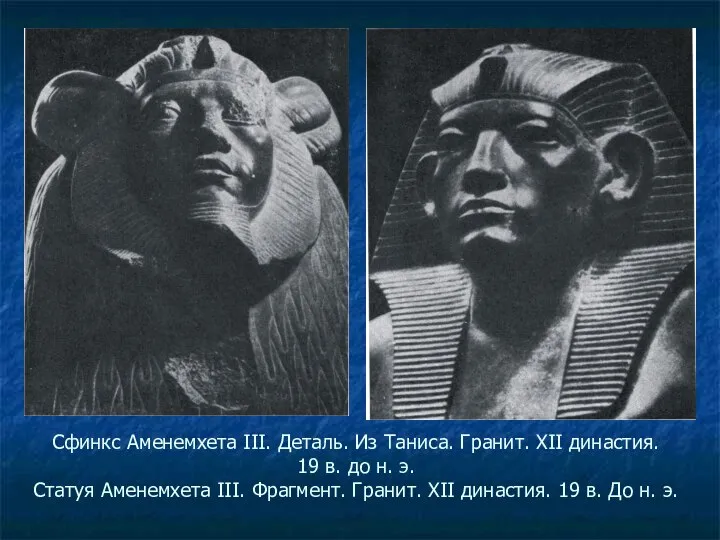 Сфинкс Аменемхета III. Деталь. Из Таниса. Гранит. XII династия. 19 в.