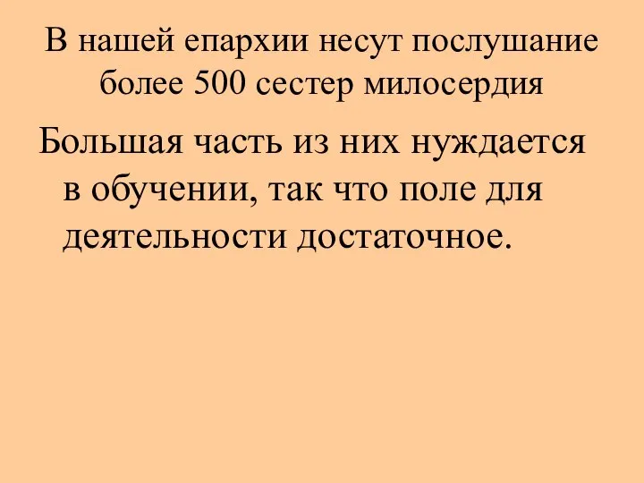 В нашей епархии несут послушание более 500 сестер милосердия Большая часть