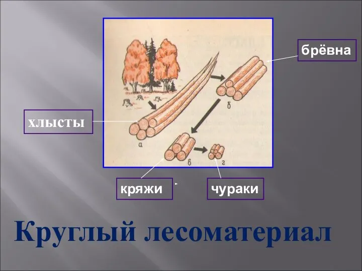 Круглый лесоматериал хлысты