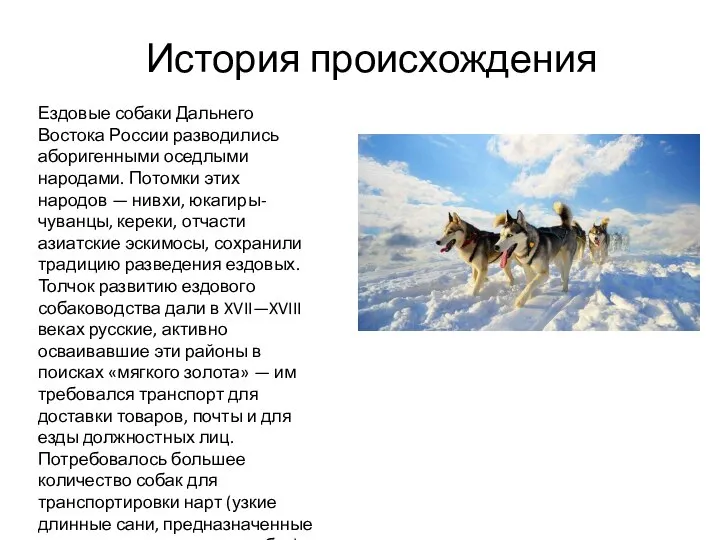 Ездовые собаки Дальнего Востока России разводились аборигенными оседлыми народами. Потомки этих