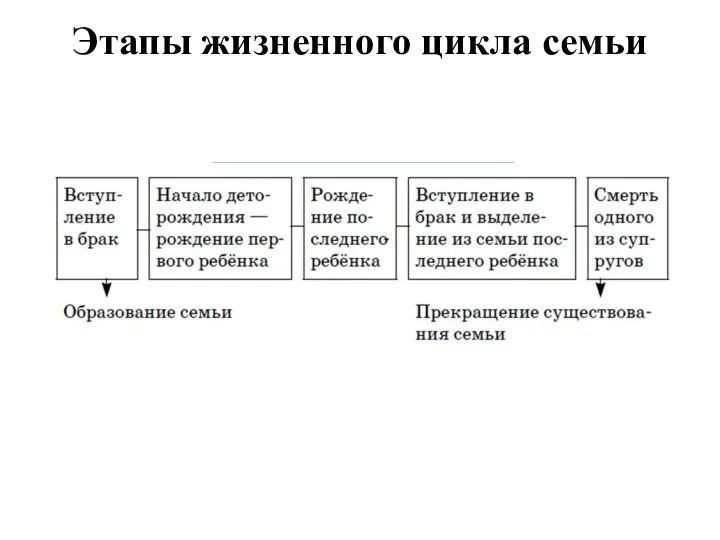 Этапы жизненного цикла семьи