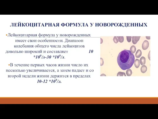 ЛЕЙКОЦИТАРНАЯ ФОРМУЛА У НОВОРОЖДЕННЫХ Лейкоцитарная формула у новорожденных имеет свои особенности.